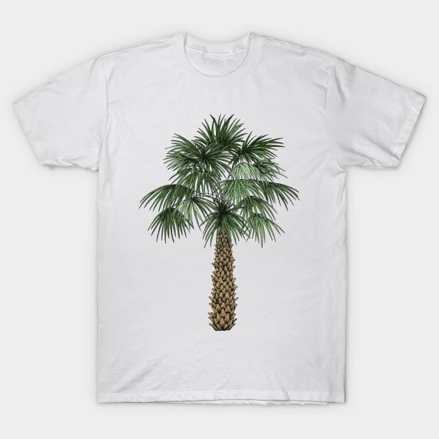 Palmetto Tree T-Shirt by Elizabeth Weglein Art